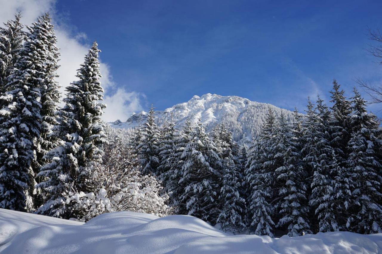 Naturhotel Alpenblick موراخ المظهر الخارجي الصورة