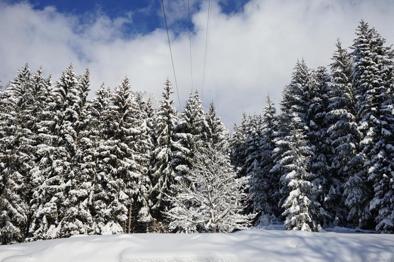 Naturhotel Alpenblick موراخ المظهر الخارجي الصورة
